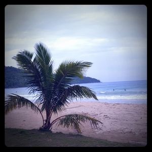 Meet your Posher, Tess